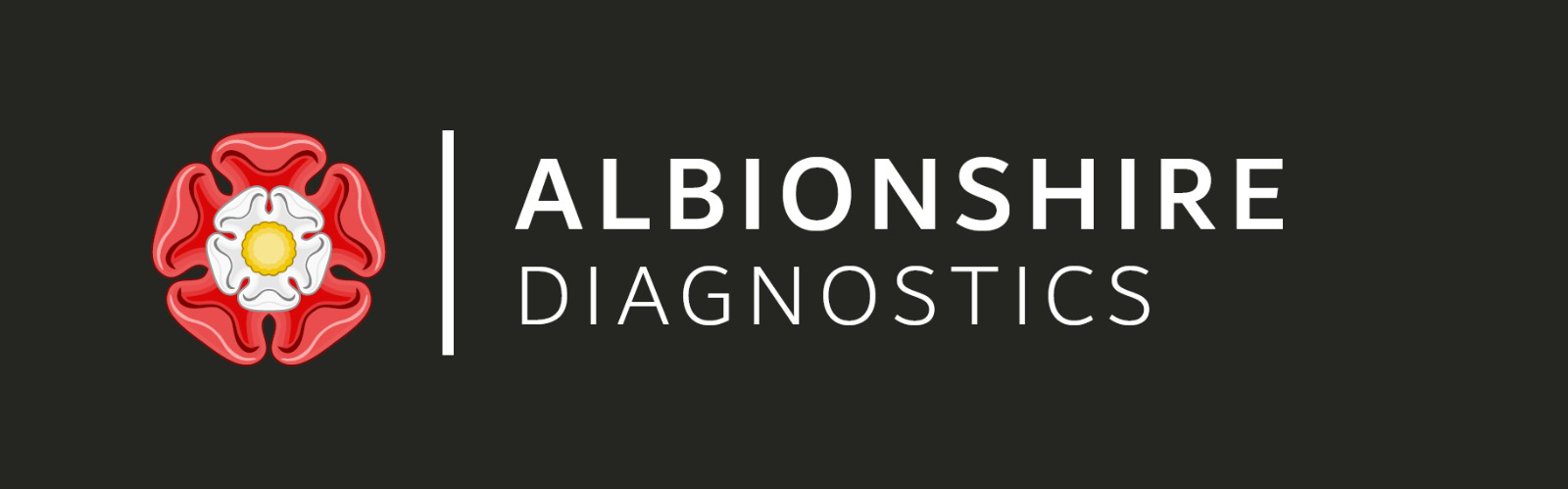 Albionshire Car Diagnostic